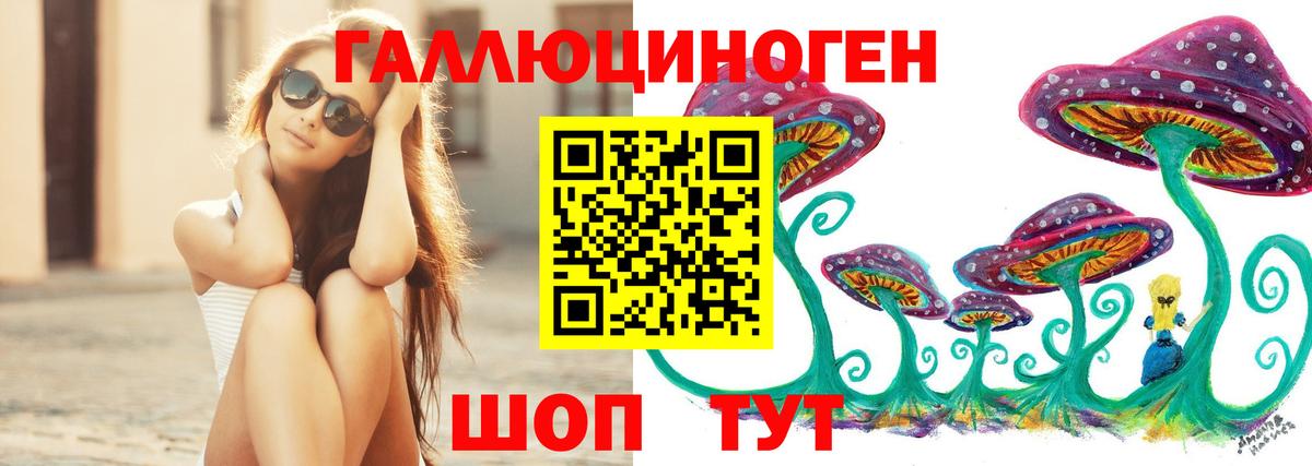 Галлюциногенные грибы Psilocybe Лангепас